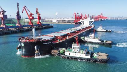 山东港口日照港刷新靠泊玉米船舶最大载货量纪录 专业船舶服务铸就高效枢纽