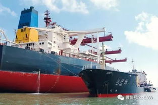 前十月浙江自贸试验区各项经济指标运行总体良好